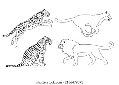 Vector set of flat outline wild big cats isolated on white background