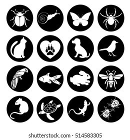 Vector set flat web icons animals and insects. Black and white icons a round frame for internet, mobile apps, interface design, pet store site