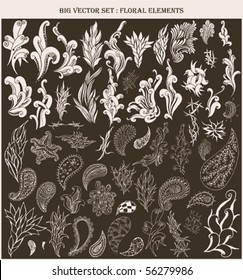vector set: floral