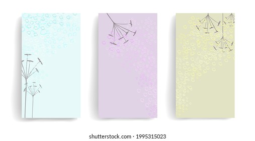 Vector set of floral banners. Three templates for your design. Air, flying bubbles in pastel colors. There are places for your text. Stylish natural colors, pale blue, light green, lilac