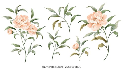 Vector set floral bouquet design garden flower peony. Natural branches and green leaves. Vector elegant rustic greeting, Invitation, wedding, communion, postcard