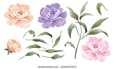 Vector set floral bouquet design garden flower rose, peony. Natural branches, green leaves, herbs. Vector elegant cute rustic greeting, Invitation, wedding, communion, postcard 