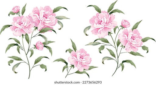 El vector ambientado de diseño de ramos floridos jardín de flores rosadas peony. Ramas naturales y hojas verdes. Saludo rústico y elegante del vector, invitación, boda, comunión, postal