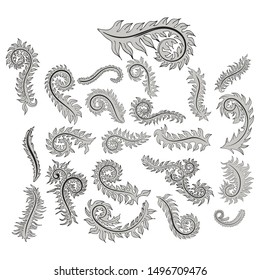 Vector set of floral calligraphic elements, dividers and rose ornaments for page decoration and frame design. Decorative silhouette for wedding cards and invitations. Vintage flowers and leaves.