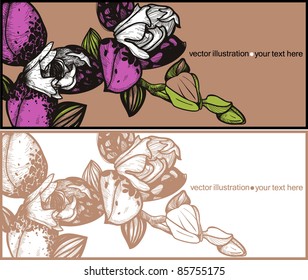 vector set of floral cards with blooming orchids