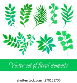 Vector set of floral collection with leaves drawing watercolor. Spring or summer design