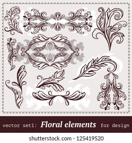 Vector Set: floral design elements.