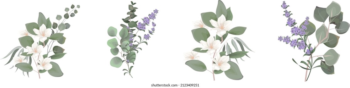 Vector set for floral design. Lavender flowers, white sakura, magnolia, eucalyptus, green plants and leaves. Floral arrangements on a white background