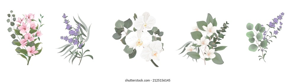 Vector set for floral design. Lavender flowers, white sakura, orchid, magnolia, eucalyptus, green plants and leaves. Floral arrangements on a white background