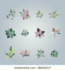 Vector set of floral elements 