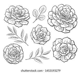 Vector set of floral elements. Black and white graphic. Tropical summer flowers and leaves, exotic plants for greeting cards, wedding invitation, coloring books, blogs and social media design