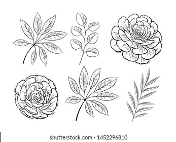 Vector set of floral elements. Black&white graphic. Tropical summer flowers and leaves, exotic plants for greeting cards, wedding invitation, coloring books, blogs and social media design