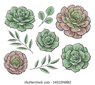 Vector set of floral elements, color graphics. Tropical summer flowers and leaves, exotic plants for greeting cards, wedding invitation, coloring books, blogs and social media design