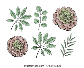 Vector set of floral elements, color graphics. Tropical summer flowers and leaves, exotic plants for greeting cards, wedding invitation, coloring books, blogs and social media design