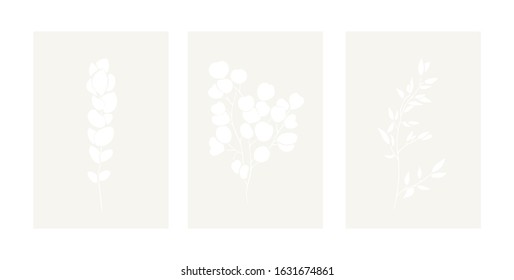 Vector set of floral elements with frames. Abstract silhouette style illustration isolated on white background. Minimalist vector concept.