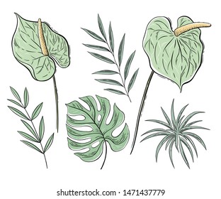 Vector set of floral elements, handdrawn graphics, engraving style. Tropical summer flowers, leaves, exotic plants for greeting cards, wedding invitation, coloring books, blogs and social media design