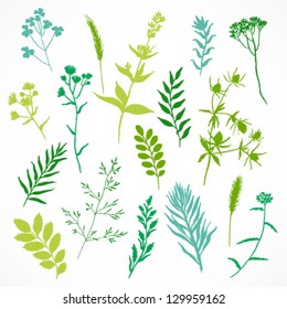 Vector set of floral elements, herbal silhouette