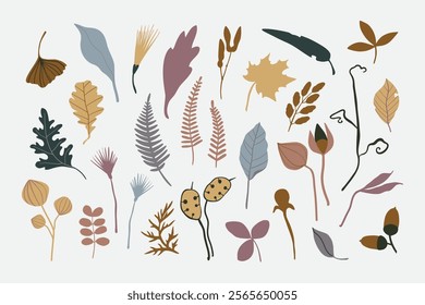 Vector set of floral elements: plants, leaves, dried herbs, wild flowers, acorns, seeds. Simple autumn collection. Floral silhouettes. Hand drawn vector flat botany set. Modern fall herbarium elements