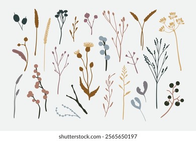 Vector set of floral elements: plants, leaves, dried herbs, wild flowers, seeds. Simple autumn collection. Floral silhouettes. Hand drawn vector flat botany set. Modern fall herbarium elements