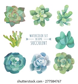Vector set of floral elements in a watercolor style. Succulents painted in watercolor. Elements for design of invitations, movie posters, fabrics and other objects. Set #3