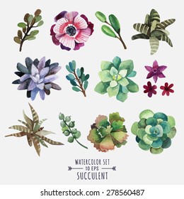 Vector set of floral elements in a watercolor style. Succulents painted in watercolor. Elements for design of invitations, movie posters, fabrics and other objects. Set #1