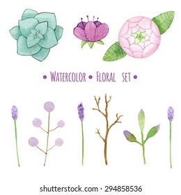Vector set of floral elements in a watercolor style.  Elements for design.