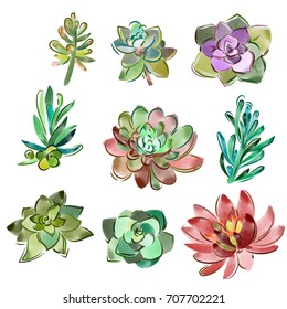 Vector set of floral elements in a watercolor style. Succulents painted in watercolor.
