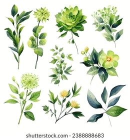 Vector set of floral green leaves