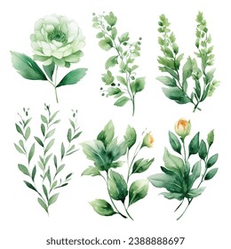 Vector set of floral green leaves