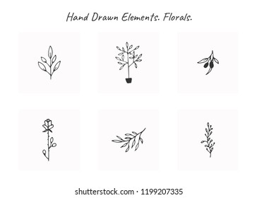 Vector set of floral hand drawn elements in elegant and minimal style. Isolated objects, flowers and branches with leaves. For badges, labels, logotypes and branding business identity.