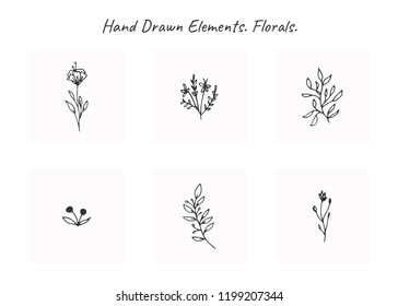 Vector set of floral hand drawn elements in elegant and minimal style. Isolated objects, flowers and branches with leaves. For badges, labels, logotypes and branding business identity.