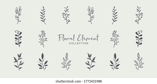 Vector set of floral hand drawn elements in elegant and minimal style. Isolated objects, flowers and branches with leaves. For badges, labels, logotypes and branding business identity.