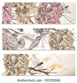 Vector set of floral  hand drawn brochures with hummingbirds for business cards design