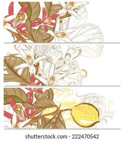 Vector set of floral hand drawn brochures for design