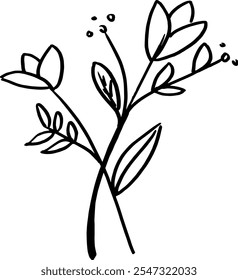 Vector set of floral hand drawn elements.  Spring flower illustration design for coloring and adding accents to a work