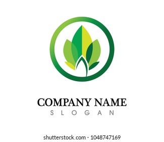 Vector - Vector set of floral patterns on a white background
