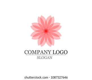 Vector set of floral patterns on a white background
