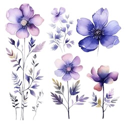 Ensemble D'images Vectorielles Fleurs à L'aquarelle Florale, Fleurs Bleues Et Violettes