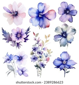 vector set of floral watercolor, blue and purple flowers