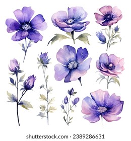 vector set of floral watercolor, blue and purple flowers