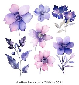 vector set of floral watercolor, blue and purple flowers