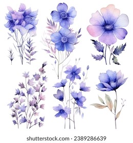 vector set of floral watercolor, blue and purple flowers