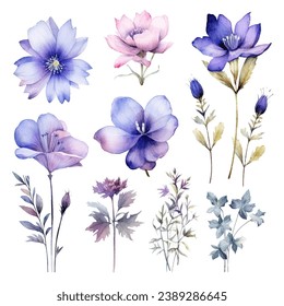 vector set of floral watercolor, blue and purple flowers