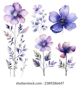 vector set of floral watercolor, blue and purple flowers