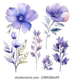 vector set of floral watercolor, blue and purple flowers