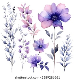 vector set of floral watercolor, blue and purple flowers