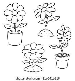 vector set of flower