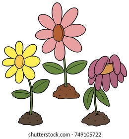 vector set of flower