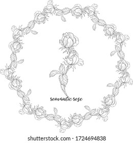 Vector set of flower compositions with rose flowers. Floral wreath. Rose.