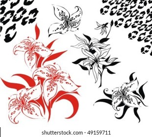 VECTOR Set of flower exotic images